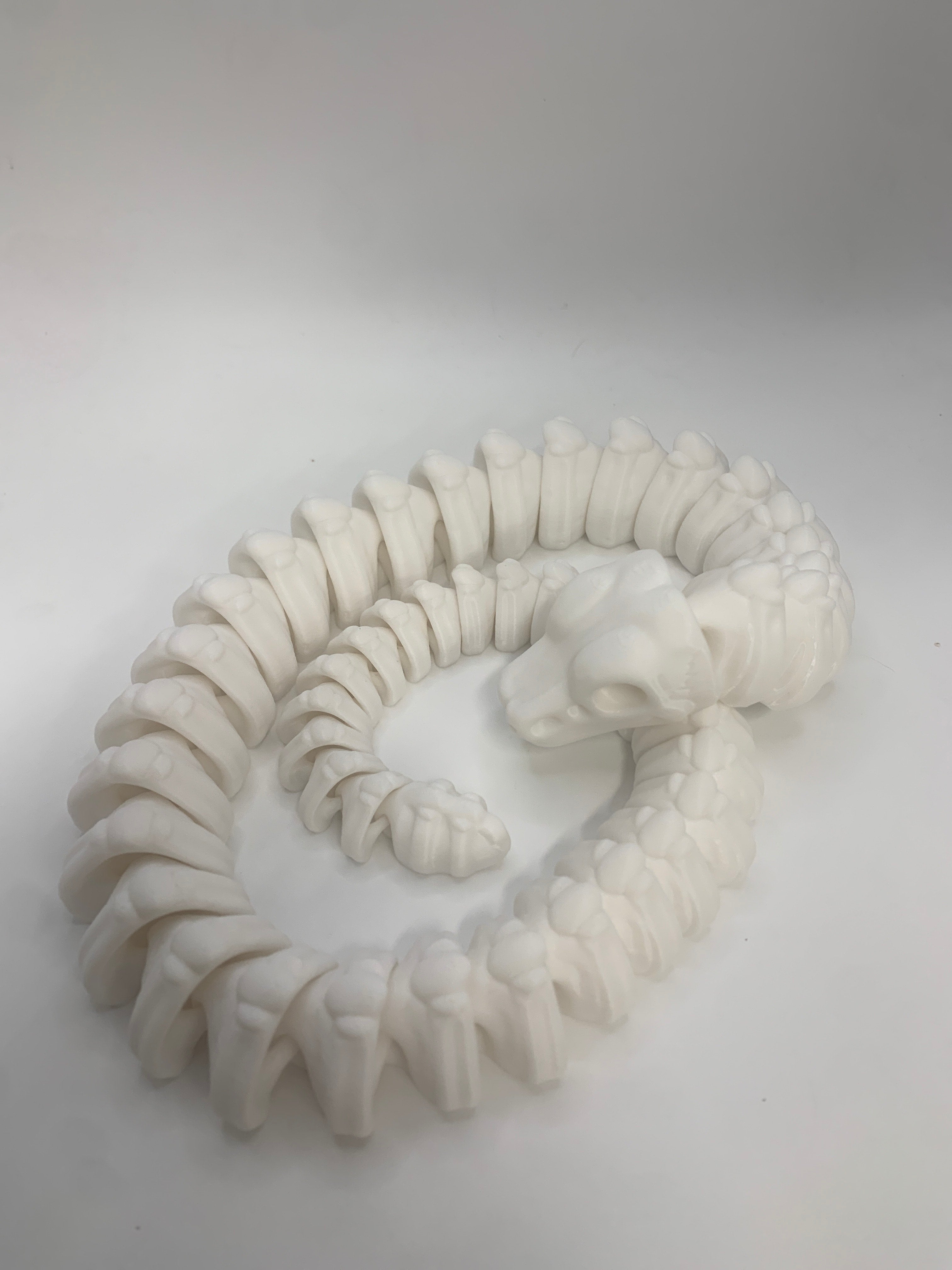 Skeleton Snake